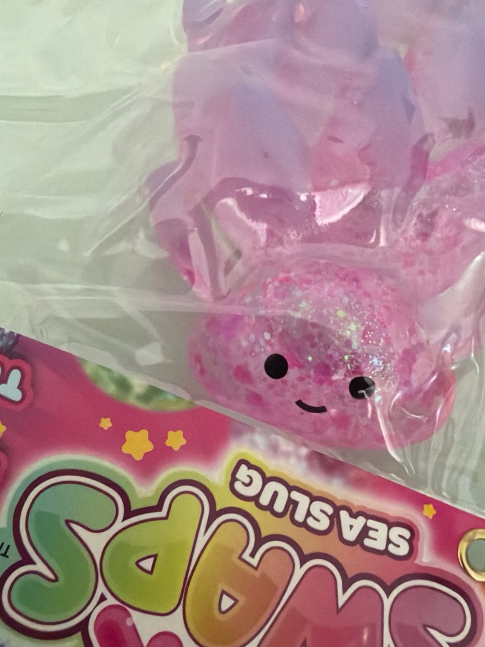 Sugar Swaps Sea Slug